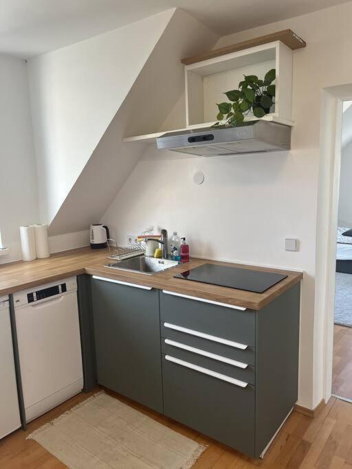 Cozy City Center Apartment Γκρατς Εξωτερικό φωτογραφία